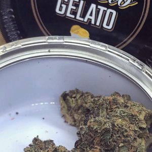 Buy Bacio Gelato Marijuana