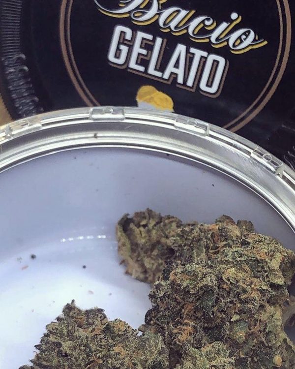Buy Bacio Gelato Marijuana