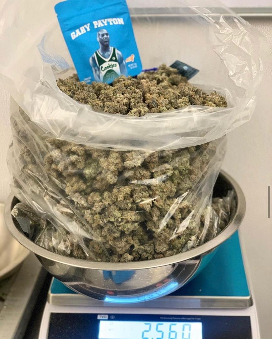 Gary Payton Weed -Buy Gary Payton Weed Online - Cookies Connected