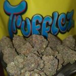 Buy Purple Truffle marijuana