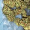 Buy Sour diesel marijuana buds