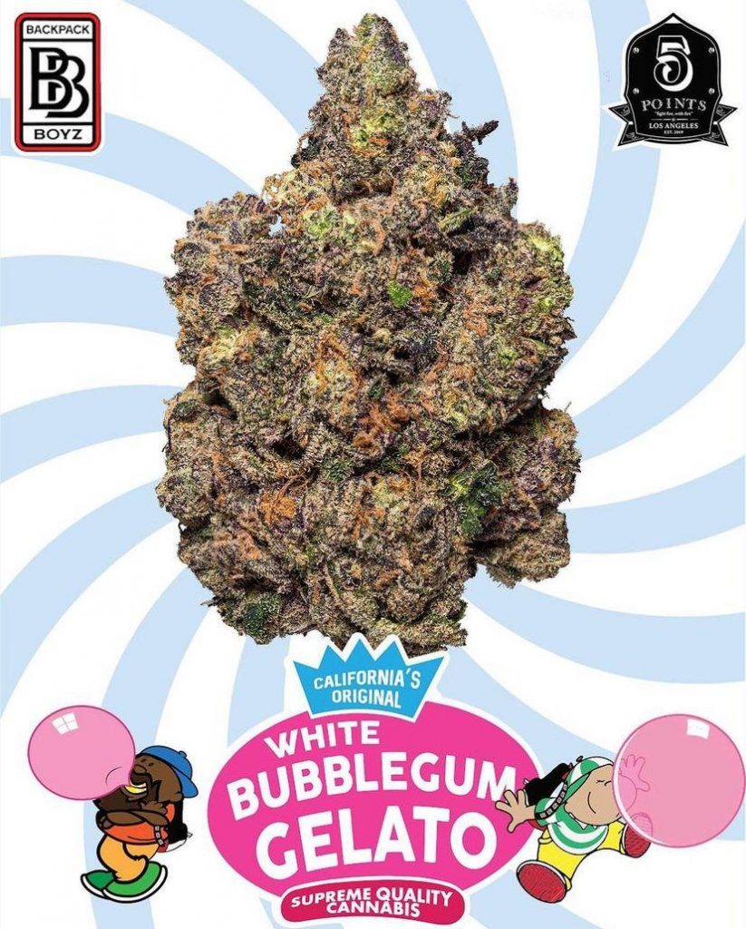 gelato bubble gum strain